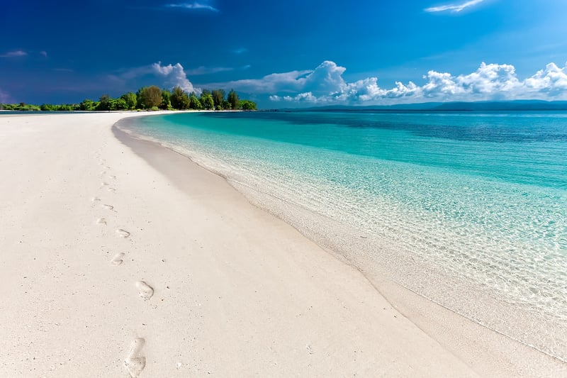 Tropical Beach